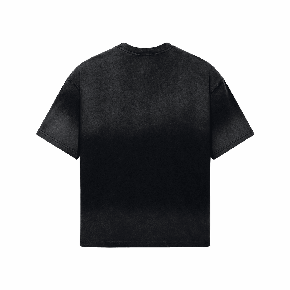 TYSON vs. HOLYFIELD Vintage Washed Tee - BOXINGFINESSE