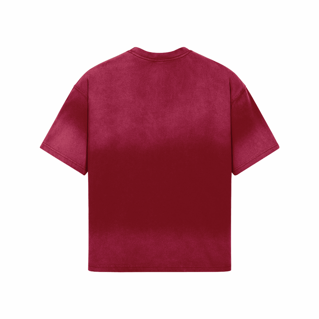 TYSON vs. HOLYFIELD Vintage Washed Tee - BOXINGFINESSE